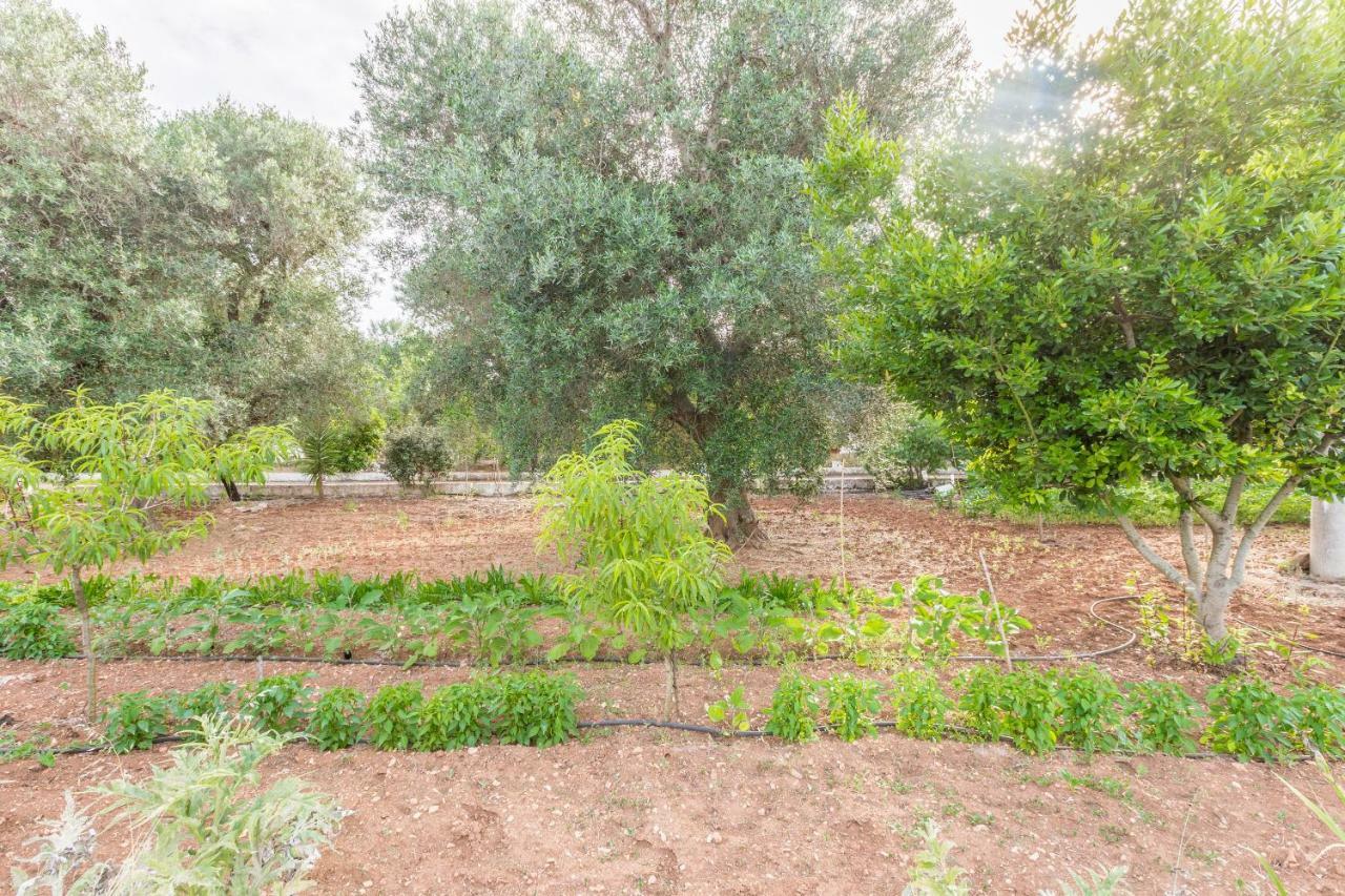 Lamia Di Nonna Mena Villa San Vito dei Normanni Kültér fotó